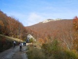 05. još malo pa smo gotovi sa makadamom